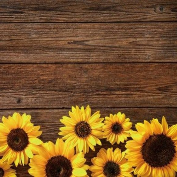 Meet your Posher, Briana - Picture 1 of 1